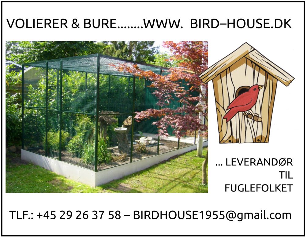 Birdhouse