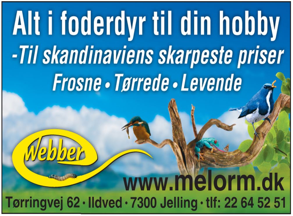 Melorme